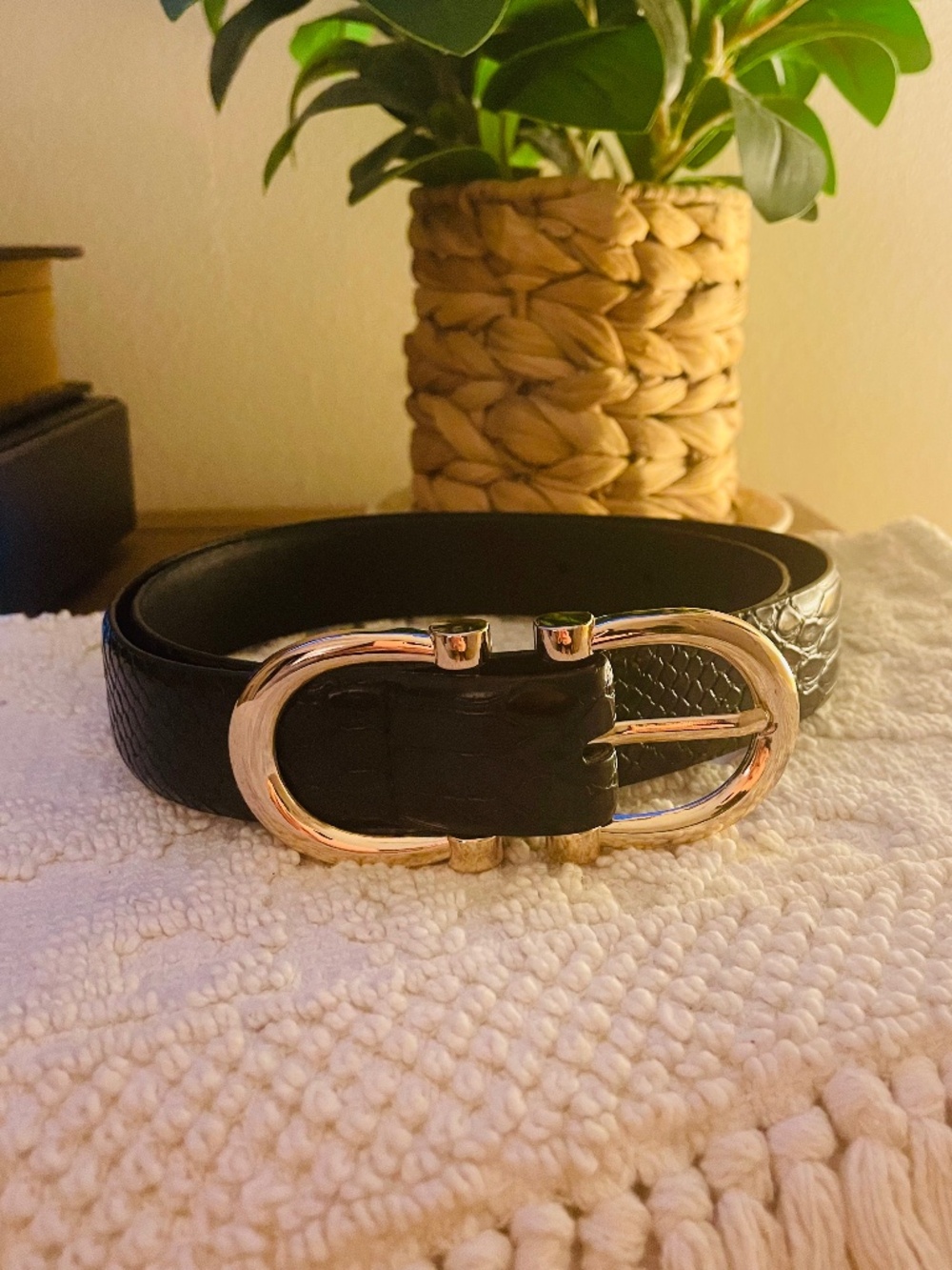 ASOS Glamorous Brand Faux Croc Belt